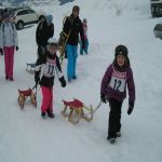 Rodelrennen   03